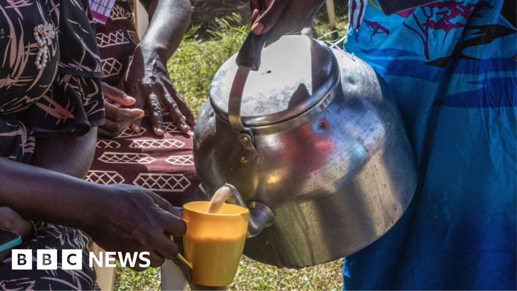 Kenya faces milk shortage impacting tea drinkers