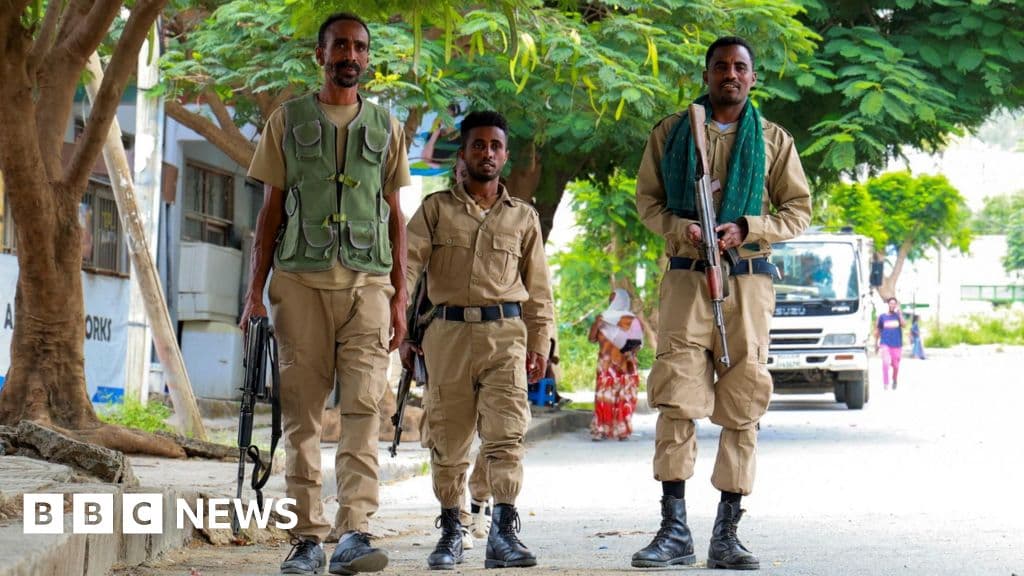 Ethiopia conflict: Tigray forces and army at risk of renewed fighting