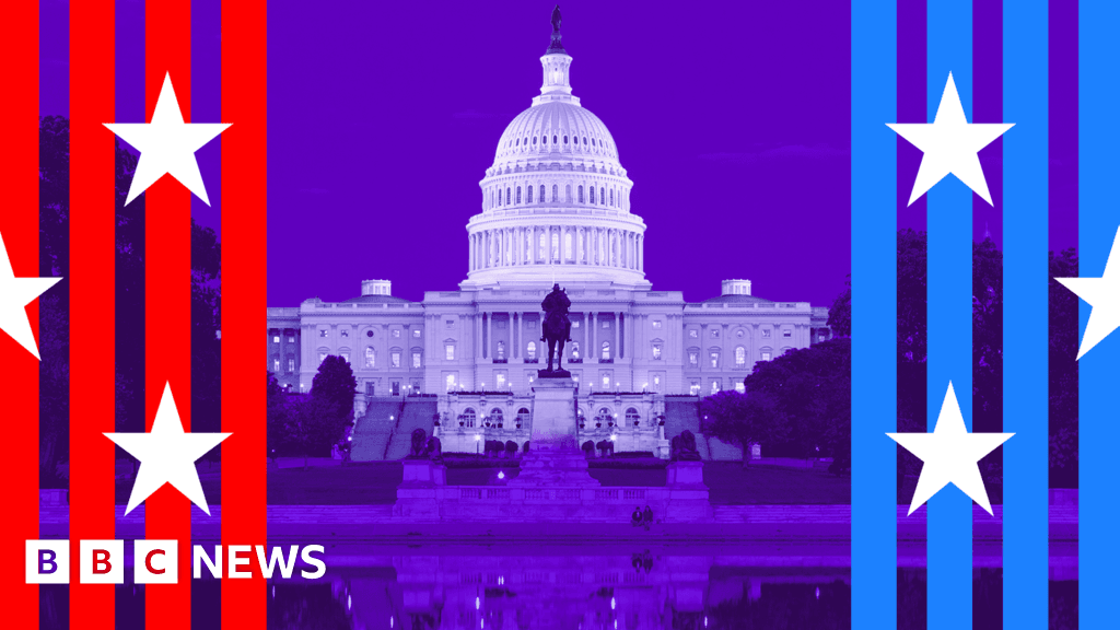 US Midterm Election Guide