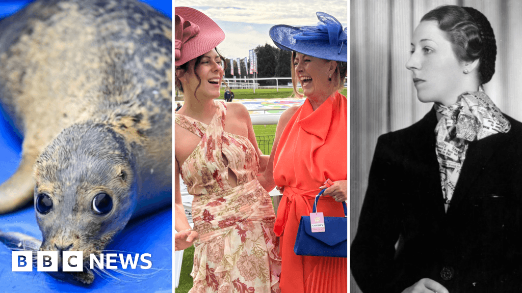 Yorkshire news quiz week of 12/09/2026