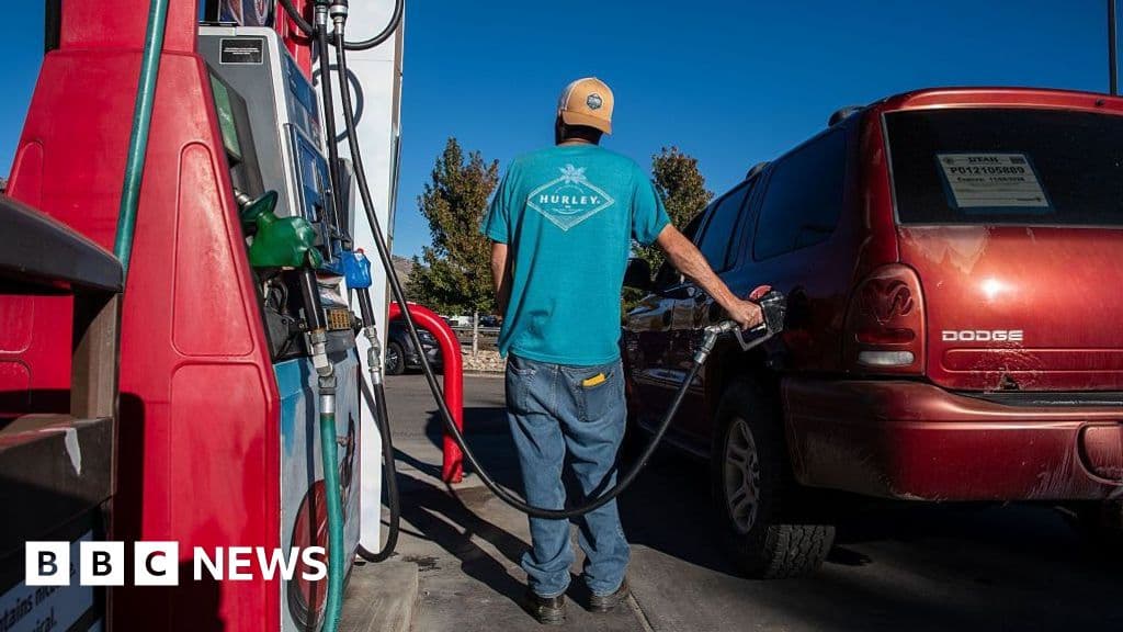 Trump aims to lower fuel costs before midterms