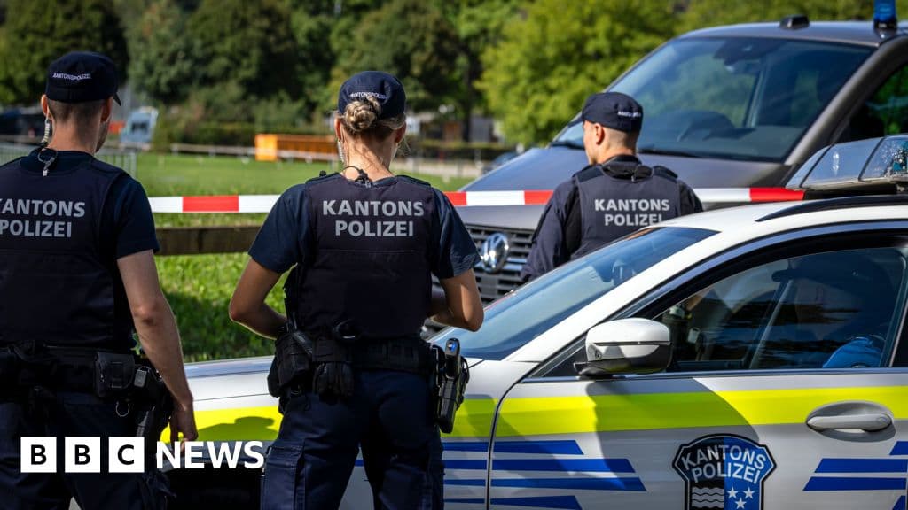 Man detained after Swiss rave shooting