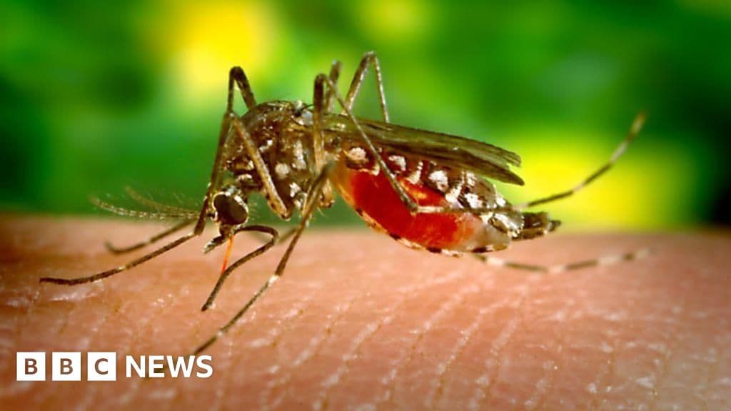 سريلانكا تستخدم طائرات بدون طيار لمكافحة حمى dengue