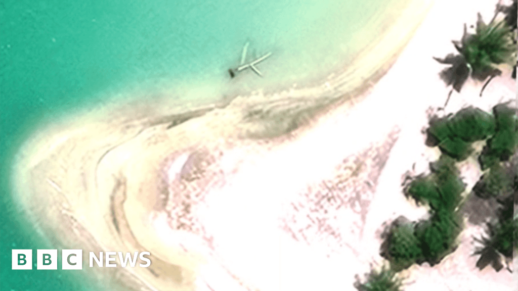 Researchers suggest Earhart plane wreckage may be trees