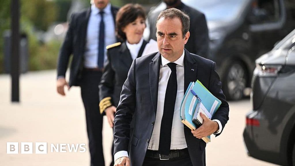 Europe wildfires: Lecornu criticized over France response