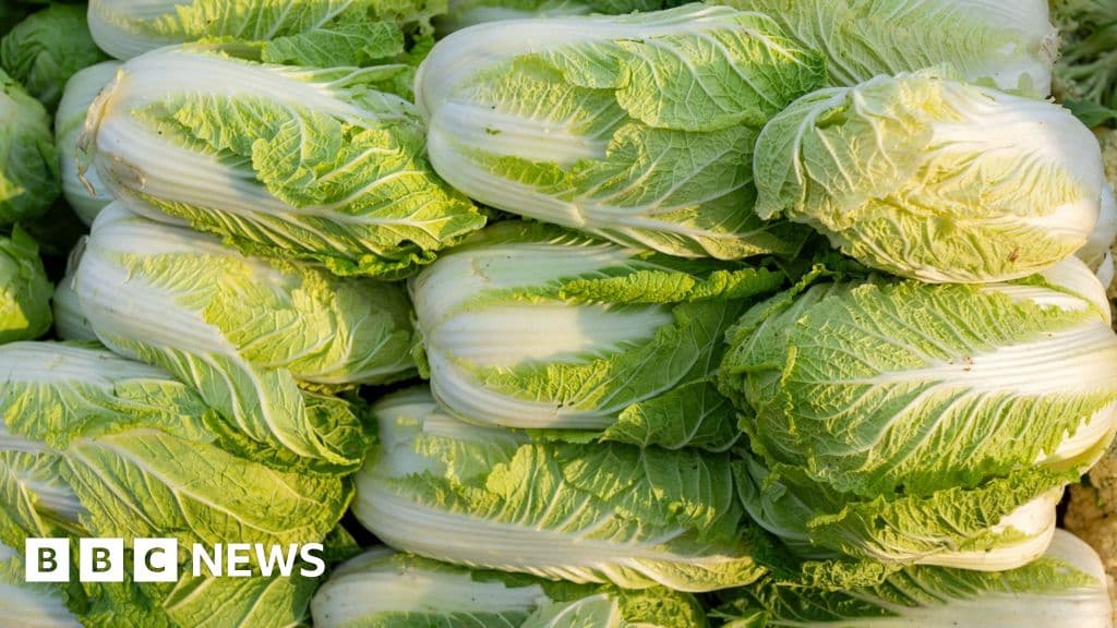 China investigates formaldehyde in cabbages