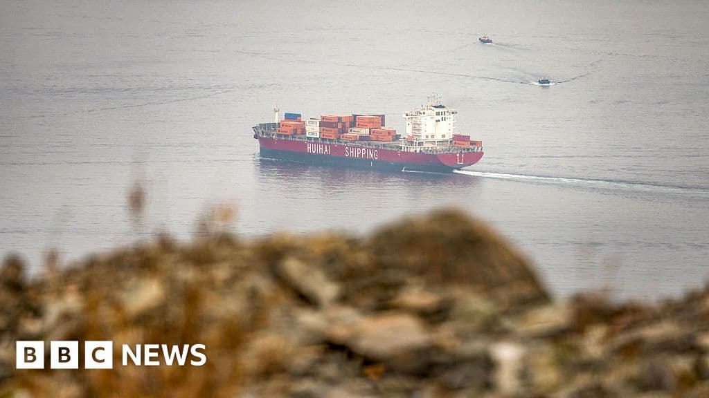 Singapore reports container ship sinking in Strait of Hormuz