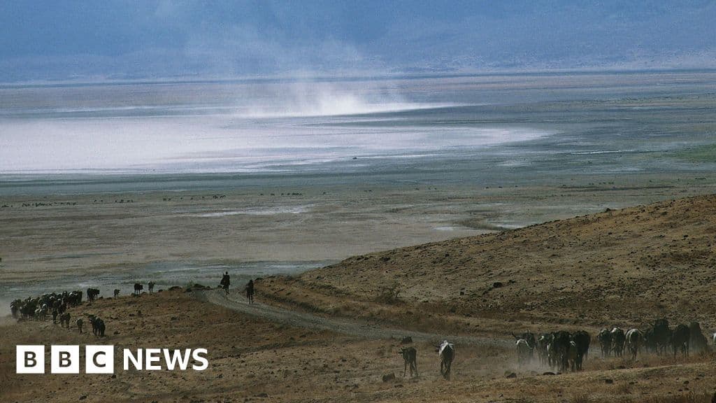 Ngorongoro: Police detain rangers over incident