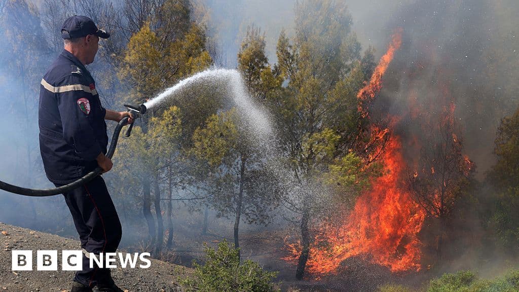 مقتل 12 شخصًا بفعل حرائق في شمال الجزائر