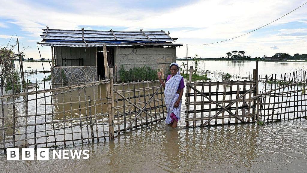 Assam 97-year-old escapes floods on banana raft