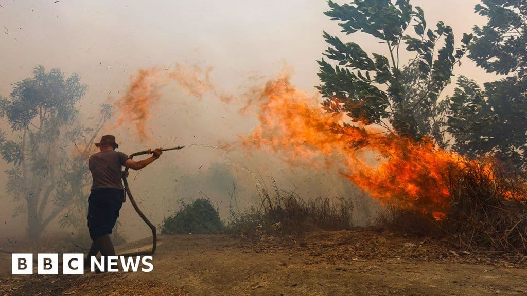 Borneo faces severe haze crisis