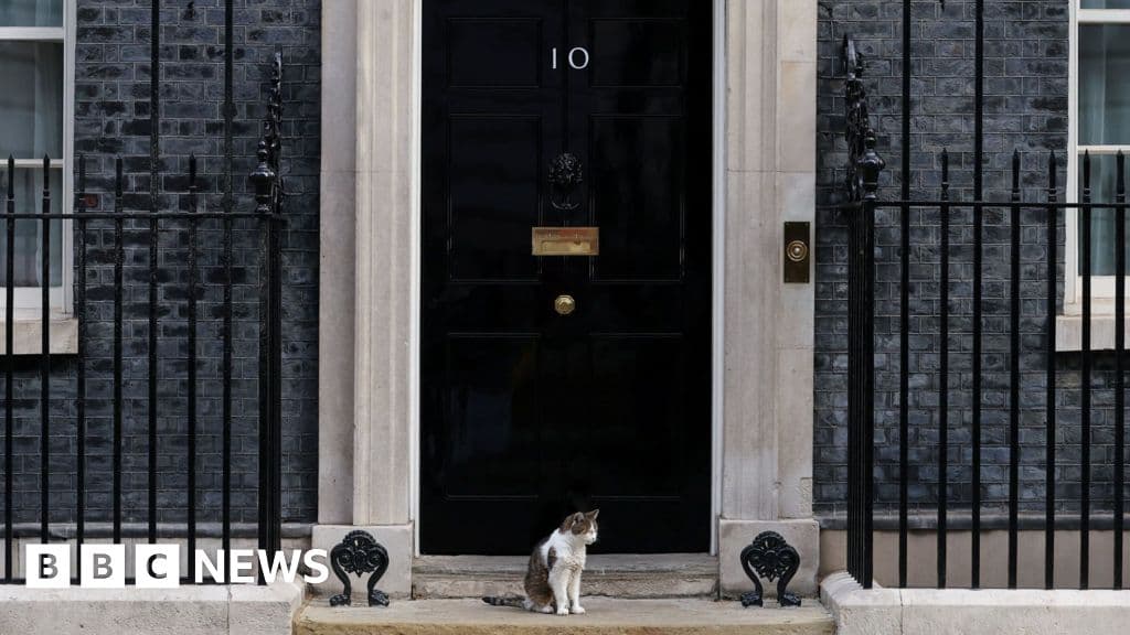 Which? flags fake 10 Downing Street listing and Booking.com issues