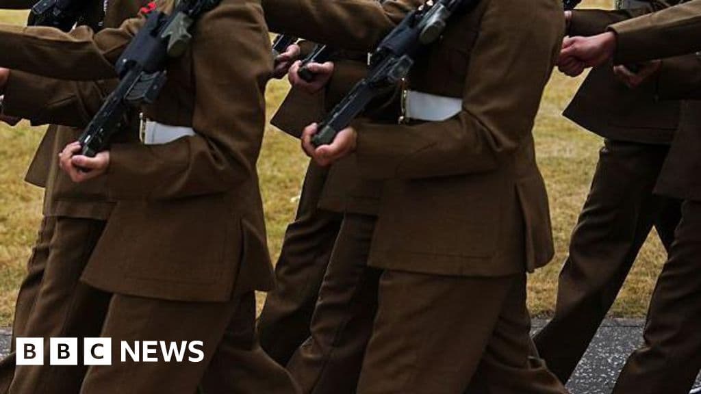 Army college faces investigation over abuse
