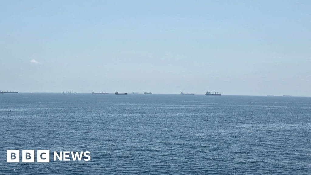 الهند وباكستان تستدعيان دبلوماسيين عقب حادث تصادم سفينتين