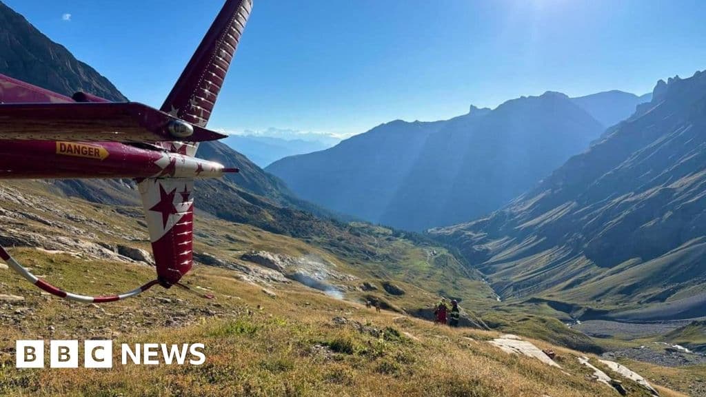 وفاة اثنين من البريطانيين في حادث طائرة بالألب