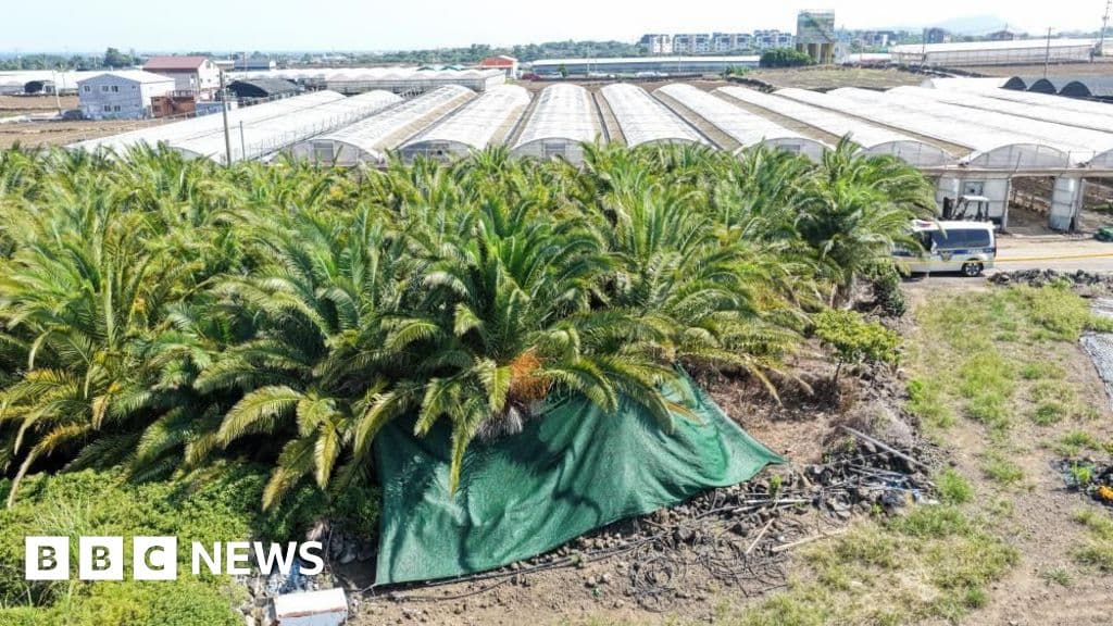 South Korea police discover four bodies on Jeju Island