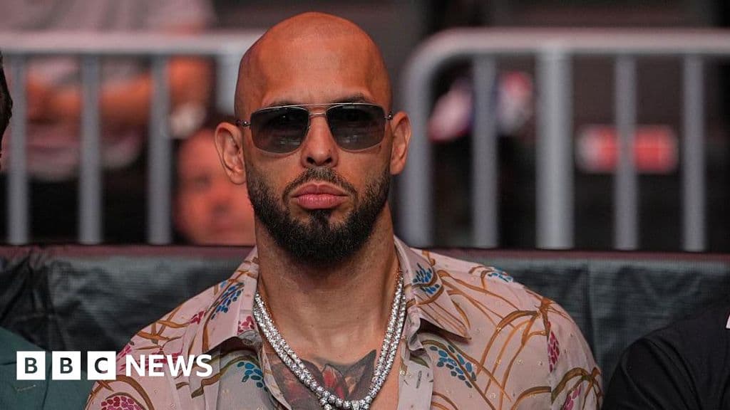 UK police cite Tate brothers as flight risk