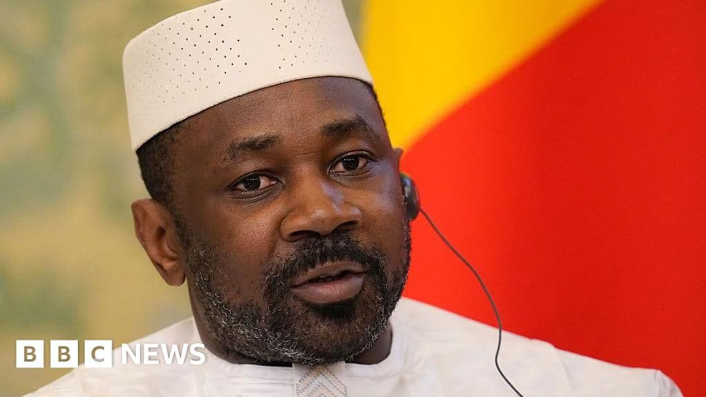 Mali coup plot: Pardon for Yann Vezilier