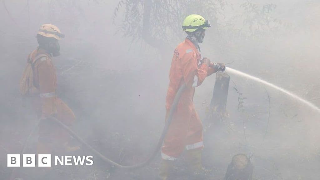 Indonesia reports over 170,000 respiratory cases