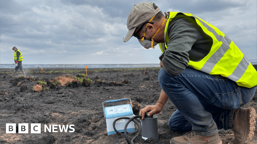 Scientists warn of hidden damage from summer wildfires