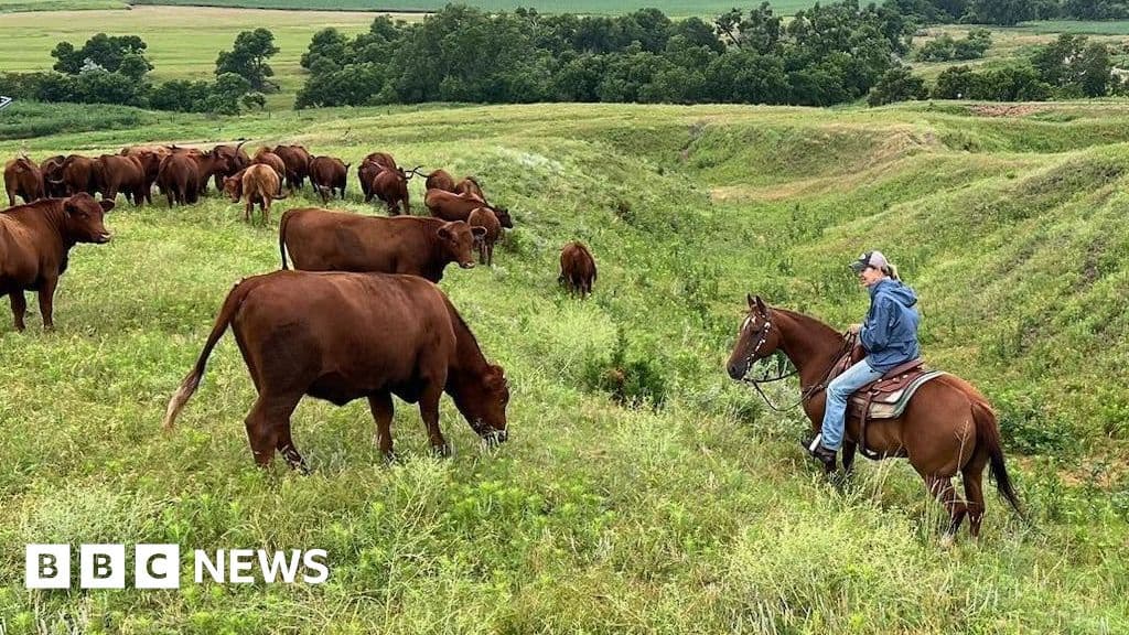 US ranchers face rising costs and political ties
