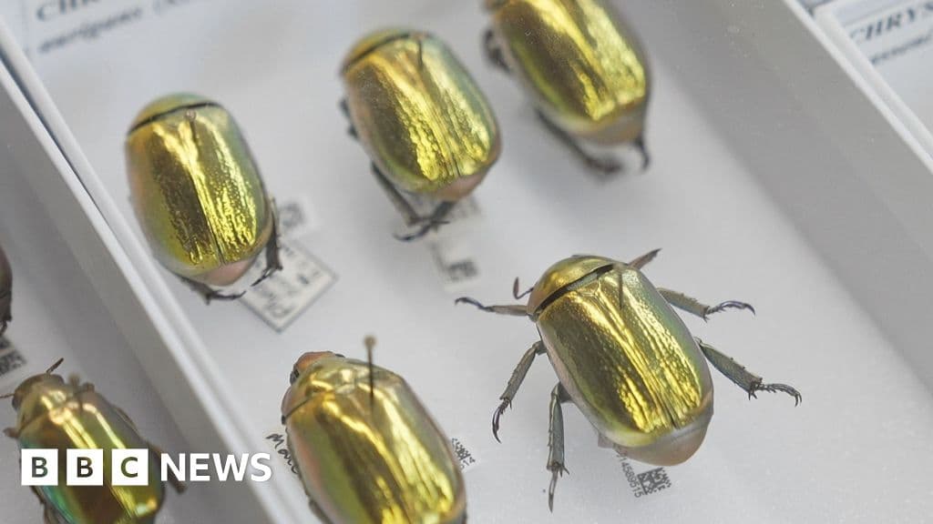 AI builds UK super-museum and explores Earth's history