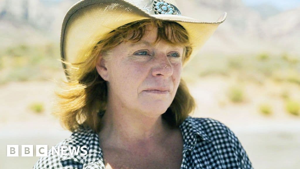 Landlady links 9/11 hijackers to Saudi spy