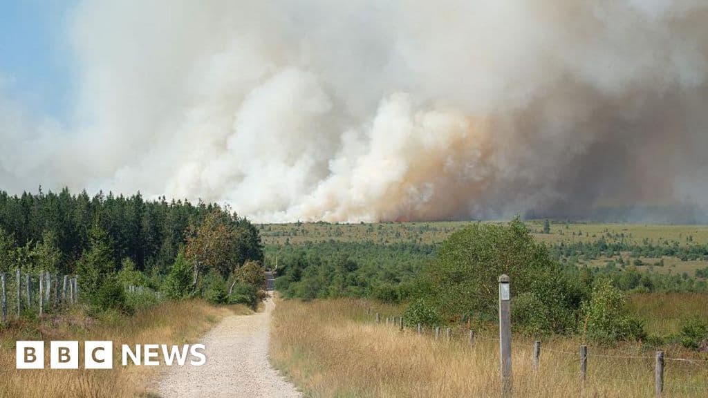 Belgian firefighters combat nature reserve fire