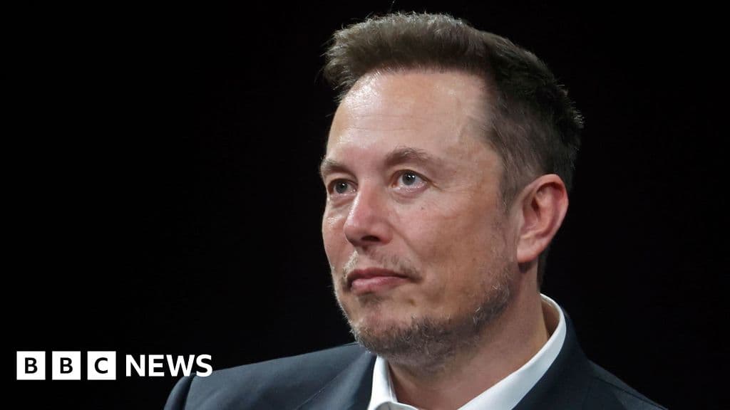 US supports Musk's challenge of €120m EU fine