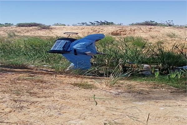 North Sinai Boosts Pest Control Campaigns