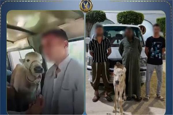 Video of a fast car among passengers causes debate