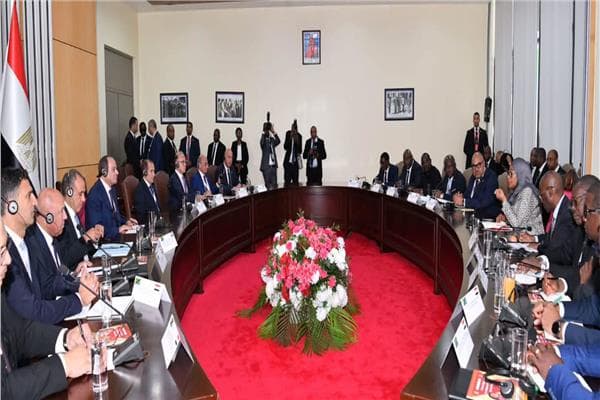 Sisi Aims to Expand Julius Nyerere Dam Benefits
