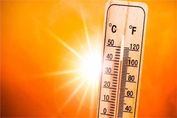 Weather forecast for July 19: heat and light rain