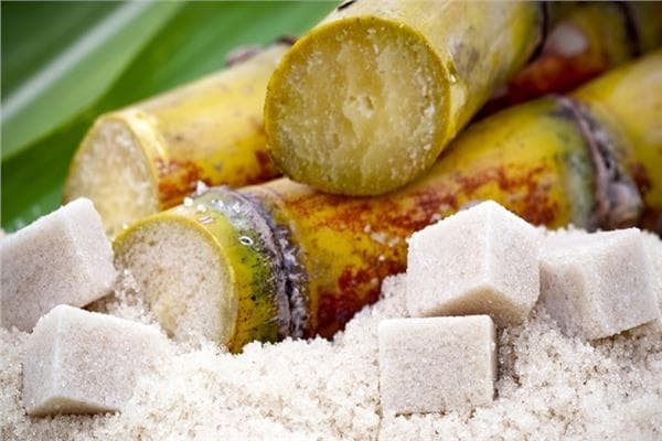 Imported sugar's low cost harms local farmers