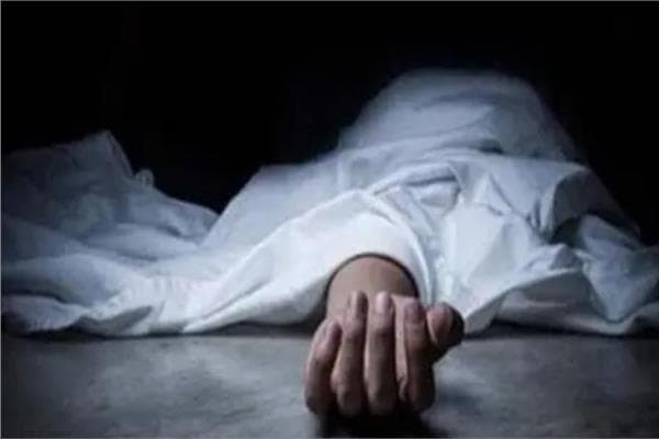 Young man fatally stabs father in Alexandria