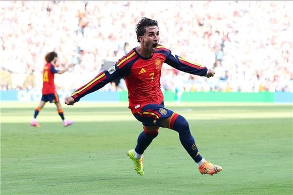 Torres Aims to Gift Spain World Cup Trophy