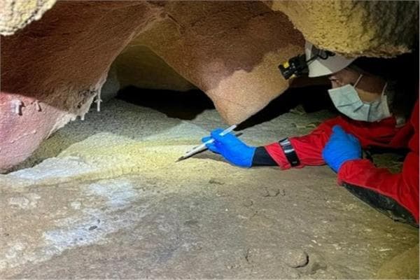 Ancient human DNA found in Iberian cave walls