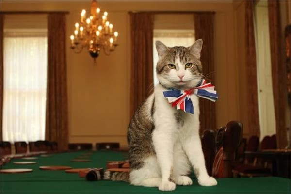 Larry the cat greets UK Prime Minister
