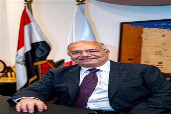 Free Egyptians leader calls for new constitution
