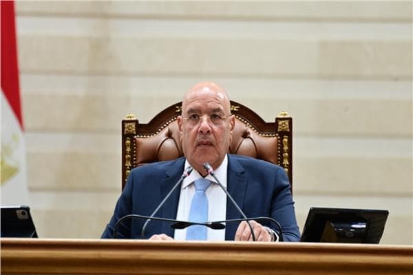 House approves Kayan University establishment