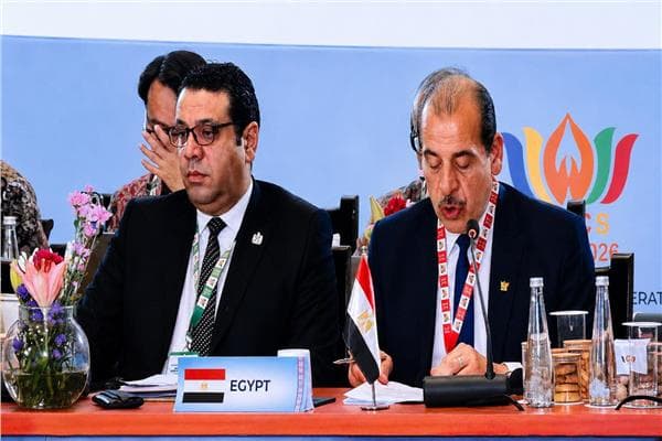 Egypt Health System Gains Spotlight at BRICS