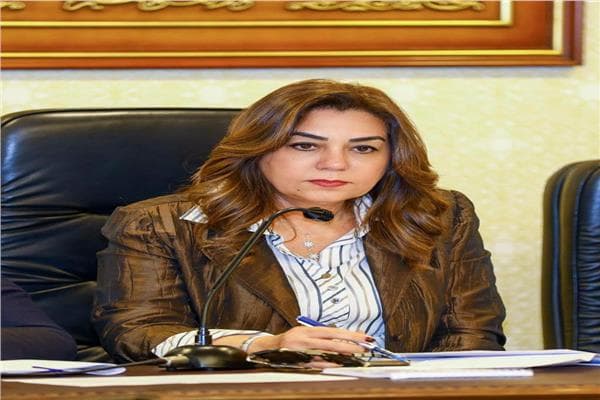 Cairo Districts Close 28 Unlicensed Shops