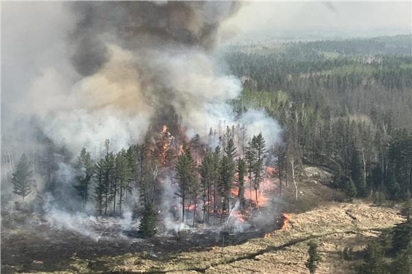 Over 900 wildfires spread in Canada due to warming