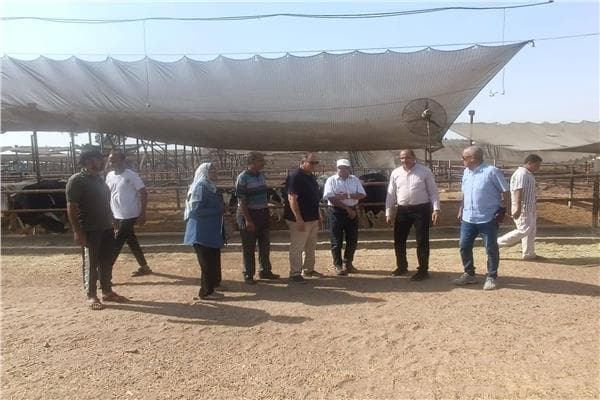 البحوث الزراعية تطرح منتجات الوزارة خلال 10 أيام