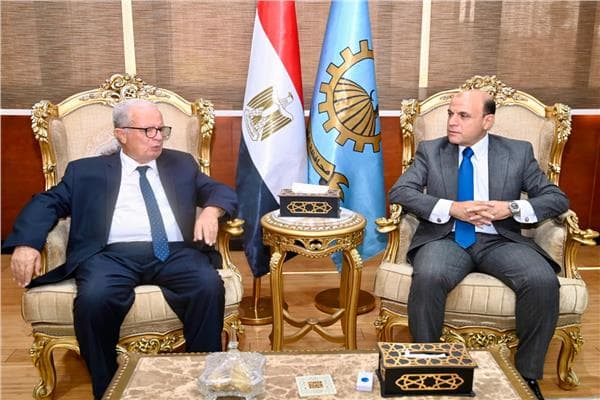 Deputy Prime Minister Meets Gharbia Governor