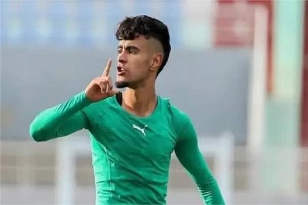 Valu of Zayani's Transfer to Al Masry