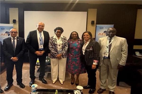 Aviation Minister Looks at Egypt-Indonesia Air Links