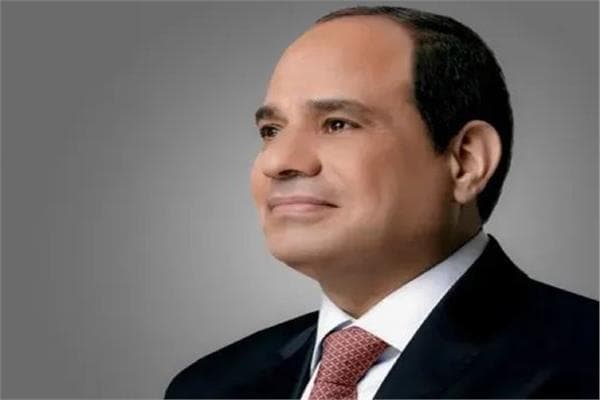 السيسي يستقبل رئيس مدغشقر لمناقشة التعاون