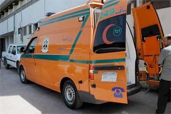 مقتل سيدة على يد ابنها في الغربية