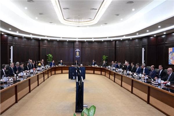 Nine government decisions include Madinty investment zone and remote work